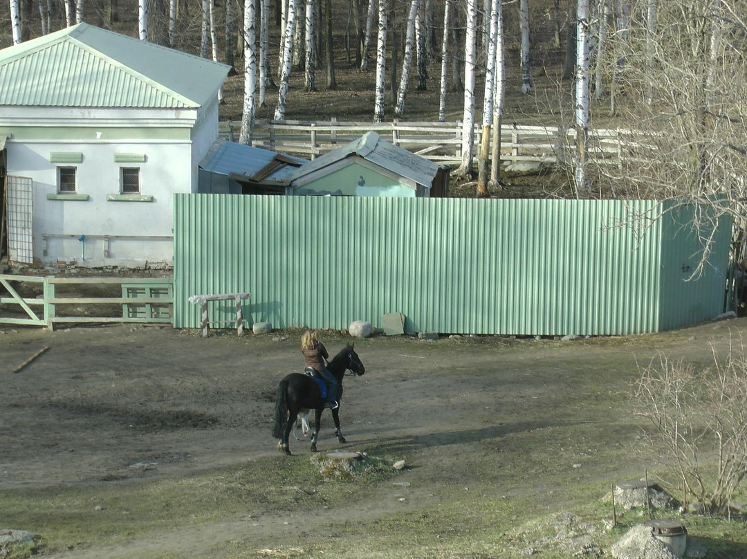 Pony Club景点图片
