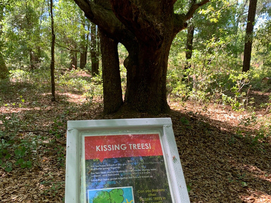 Uga Mary Kahrs Warnell Forest Education Center-Guyton必去景点