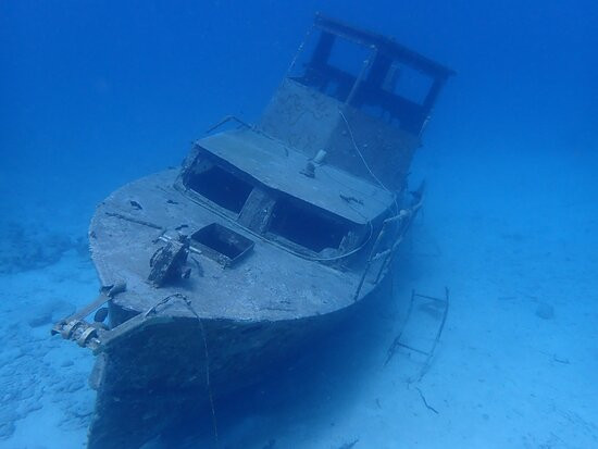Aruba Bob Snorkel & Scuba景点图片