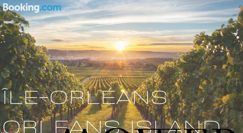 Moweb Six Immobilier