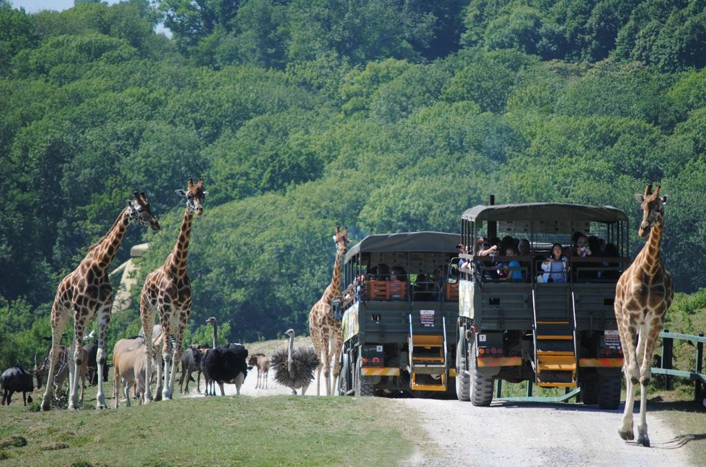 Port Lympne Reserve景点图片