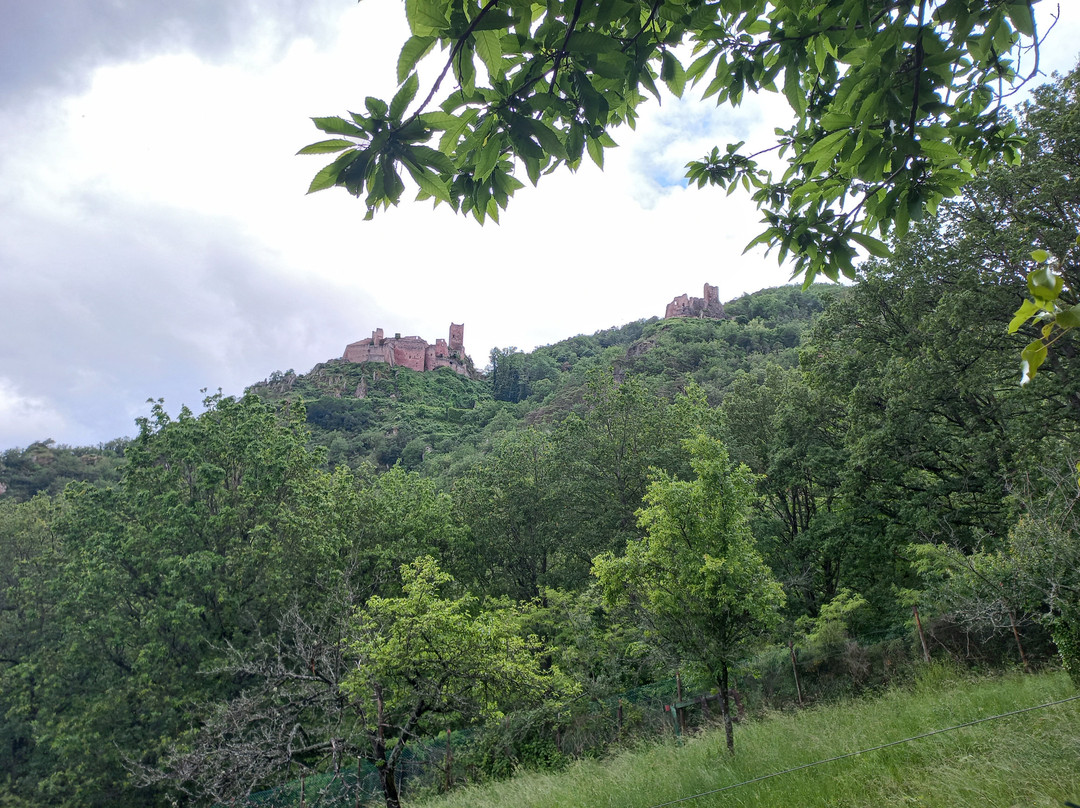 Randonnée des 3 châteaux de Ribeauvillé-里博维尔必去景点