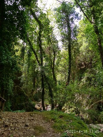 Boriana Gorge景点图片