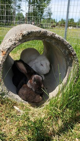 Domaine Des Trois Vents-Val d'Or必去景点