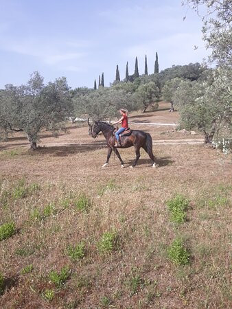 Toscana Ranch Asd景点图片