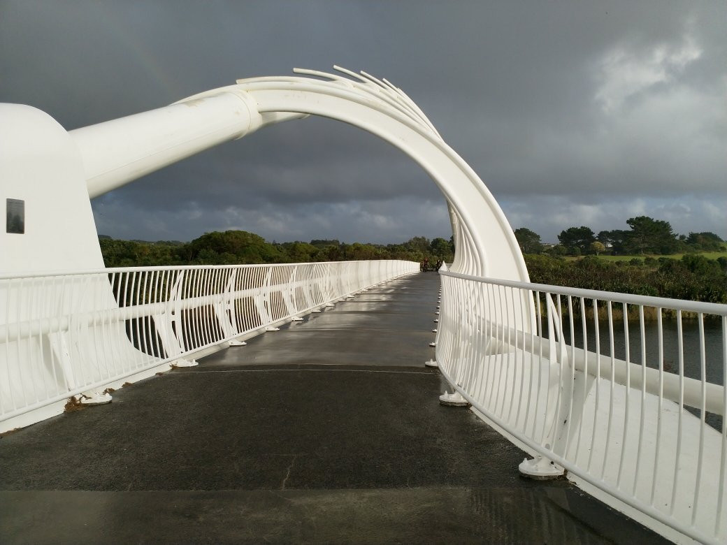 Te Rewa Rewa Bridge景点图片