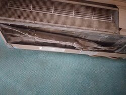 Timberland Inn & Suites主图