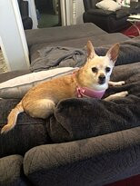 Maria's Garden and Inn主图