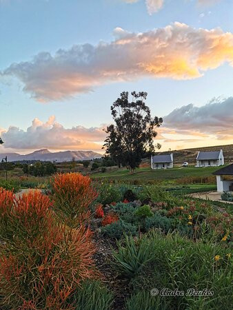 Rijks Wine Estate & Hotel主图