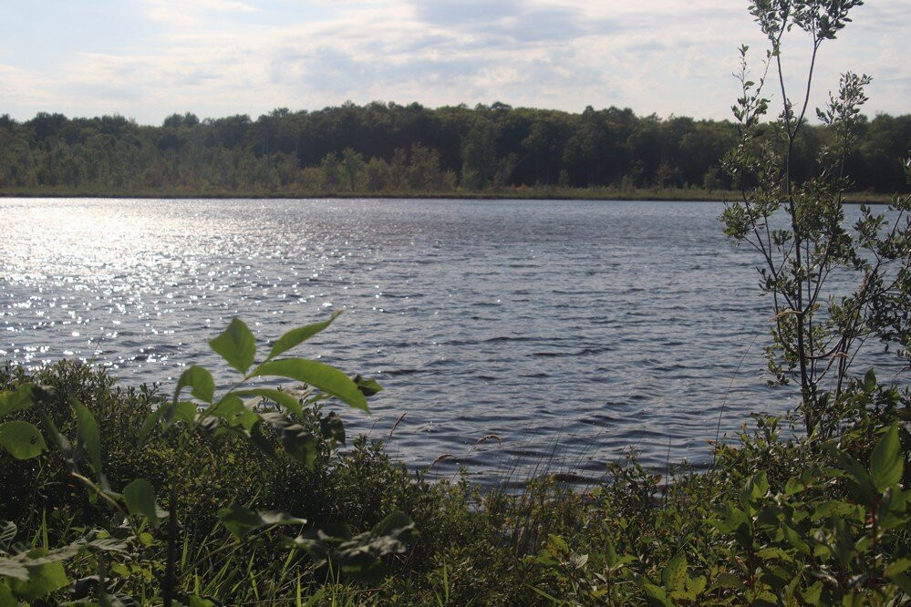 Cotrill Lake And Side Trail, Dyers Bay景点图片