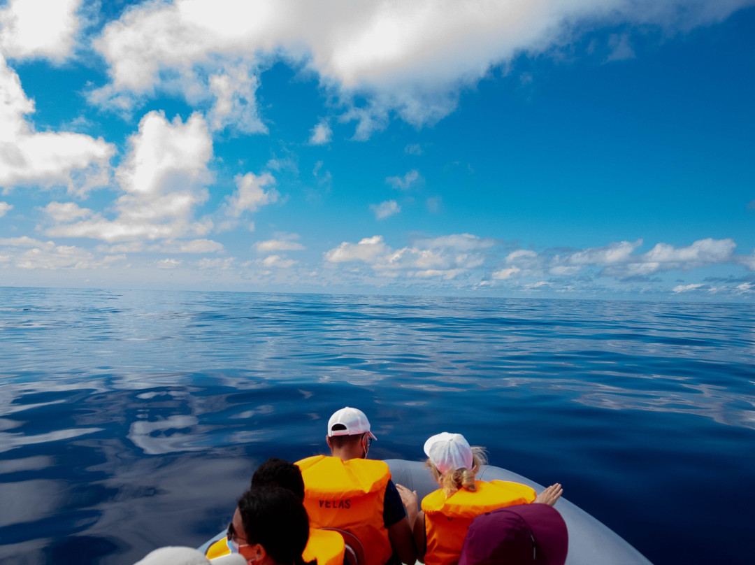 SeaExplorersAzores