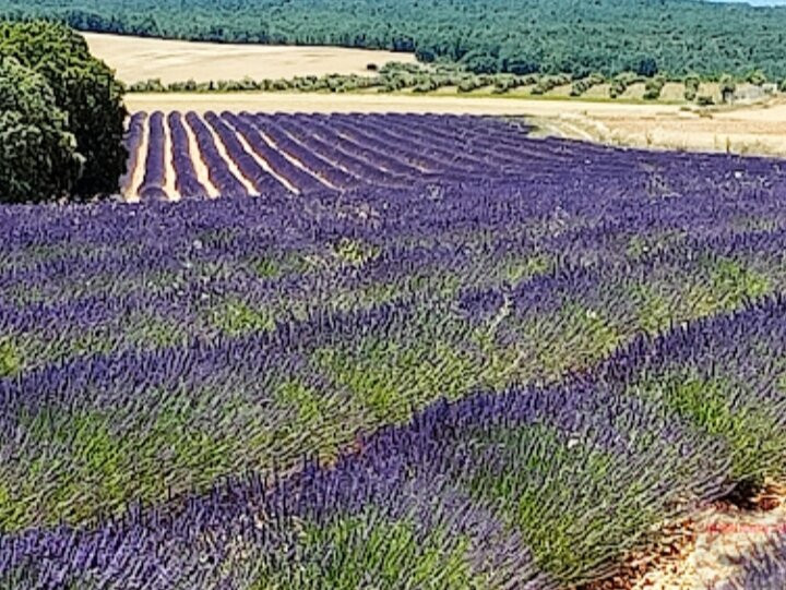 Mecerreyes旅游攻略图片