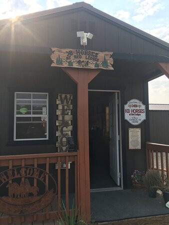 KB Horses-希伯城必去景点