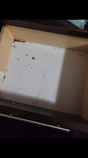 Red Roof PLUS+ University at Buffalo Amherst主图