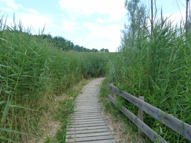Lac de Saint-André景点图片