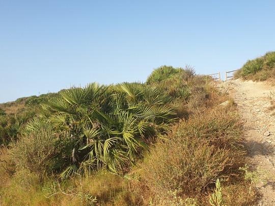 Morro Del Palmeral-Perin必去景点