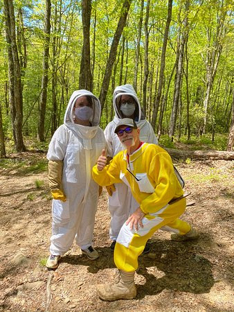 Killer Bees Honey景点图片