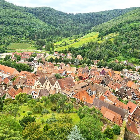Chateau du Schlossberg-Forbach必去景点
