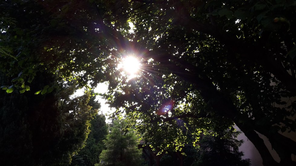 Pension Sonja Muller-官方