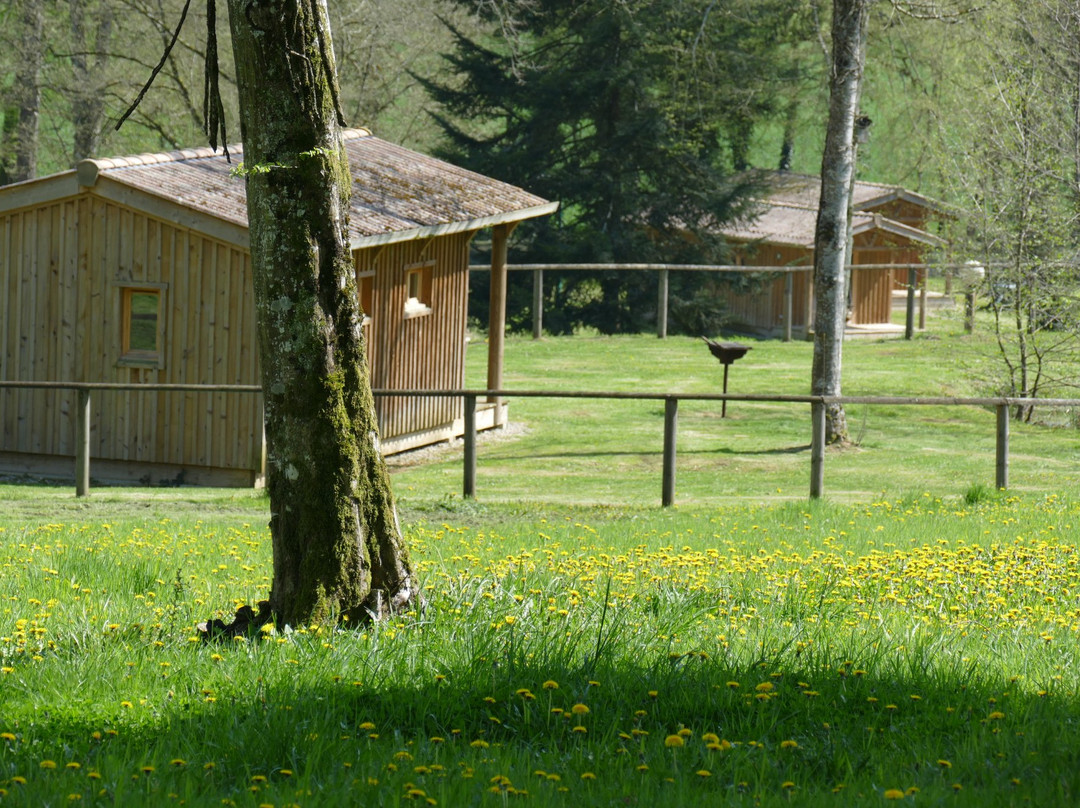 Camping du Buisson