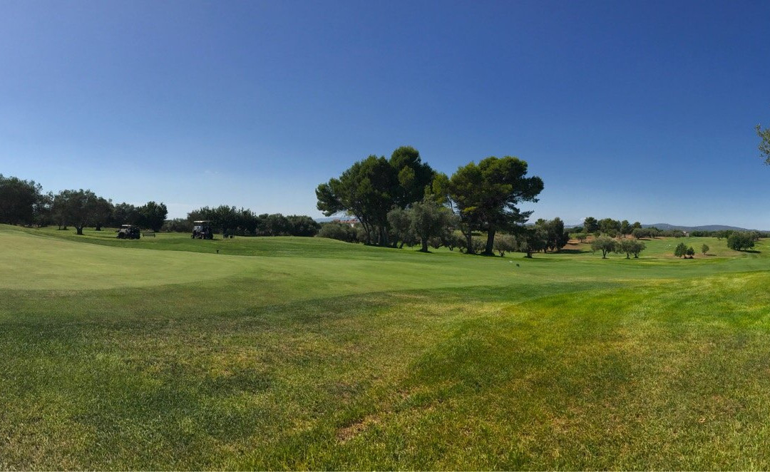 Villages Golf Panoramica主图