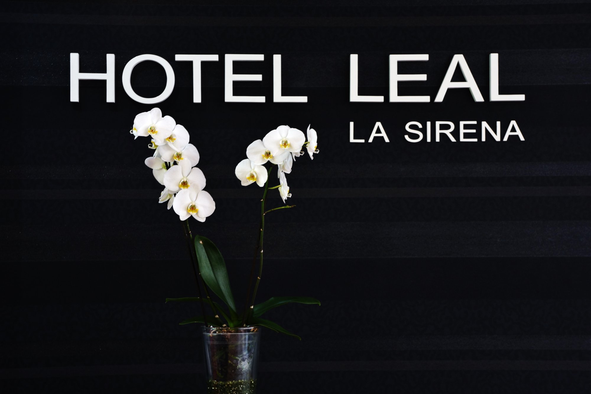 Hotel Leal La Sirena-官方