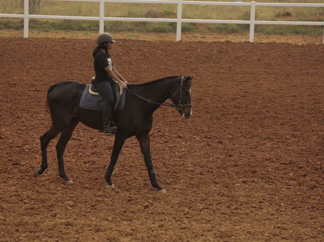 Champions Ranch