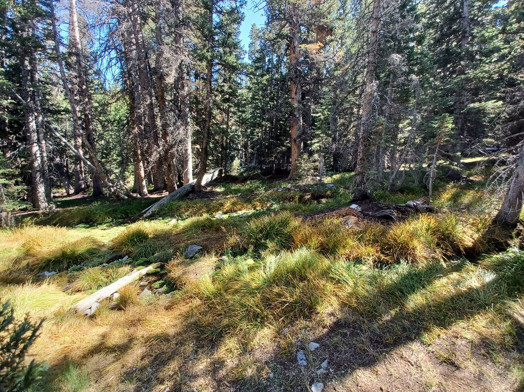 Sky Island Accessible Loop