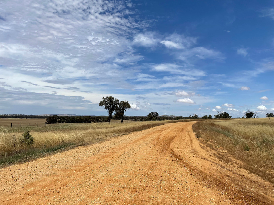 Mount Doboobetic Bushland Reserve