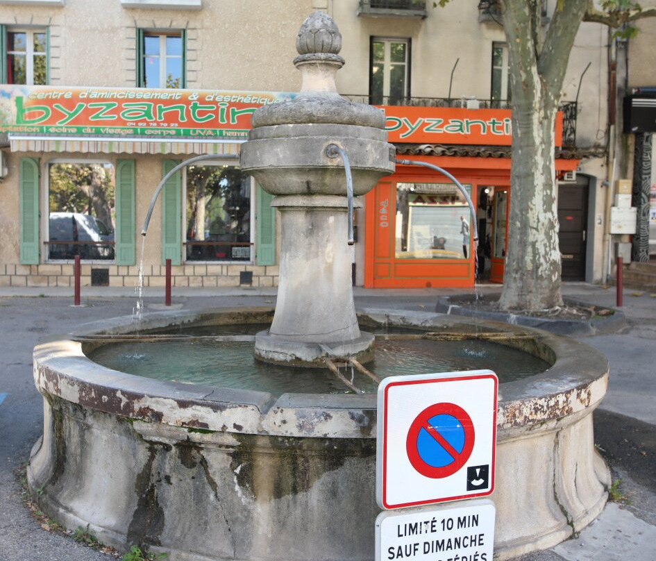 Fontaine De La Place Jmg Itard景点图片