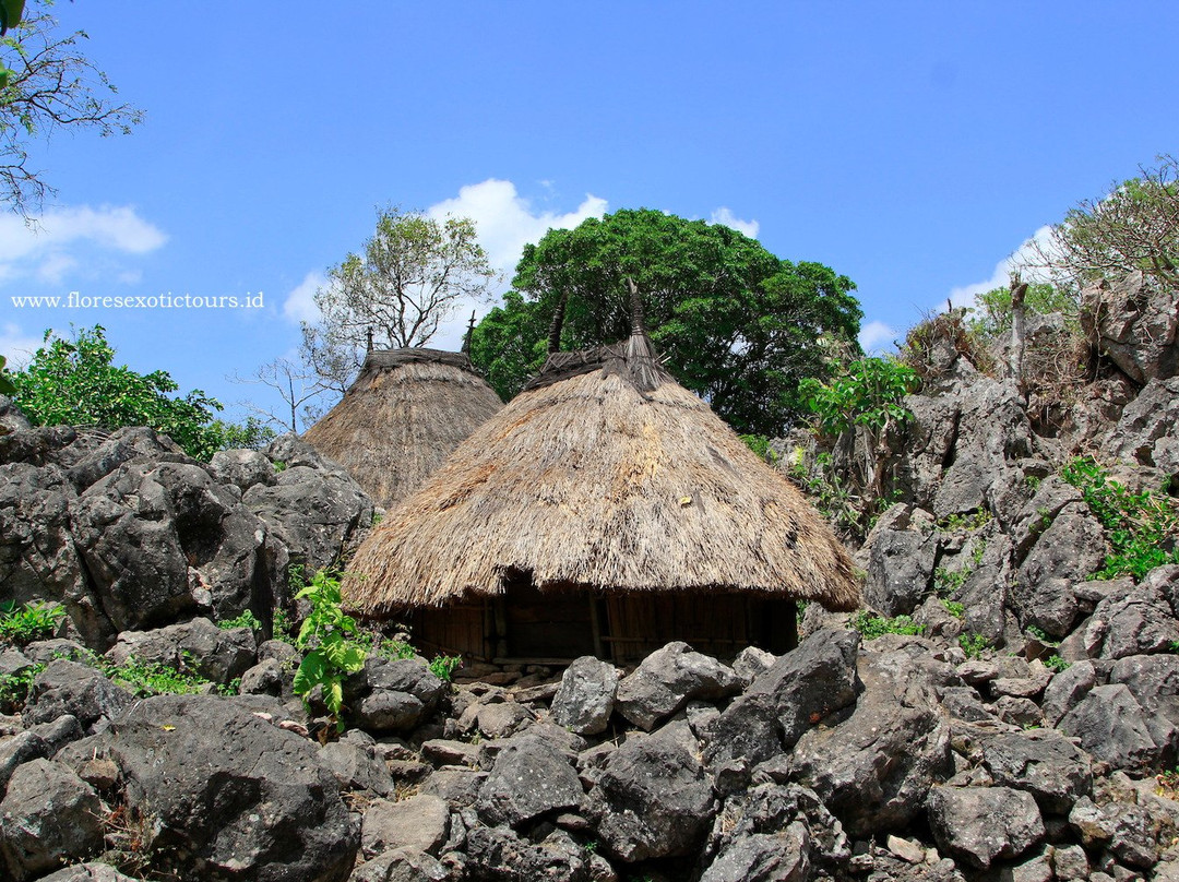 Tamkesi - Traditional Village景点图片