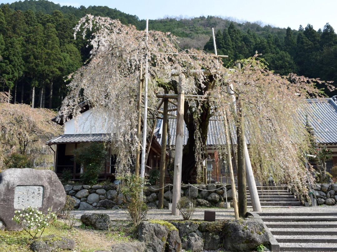 Hozoji Temple景点图片