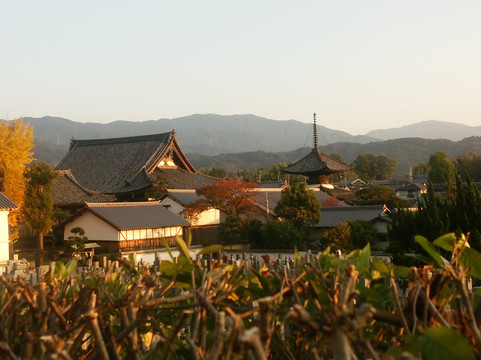 太子町旅游攻略图片