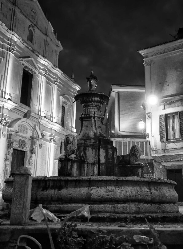 Fontana dei Leoni景点图片