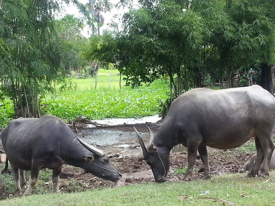 Taylor旅游攻略图片