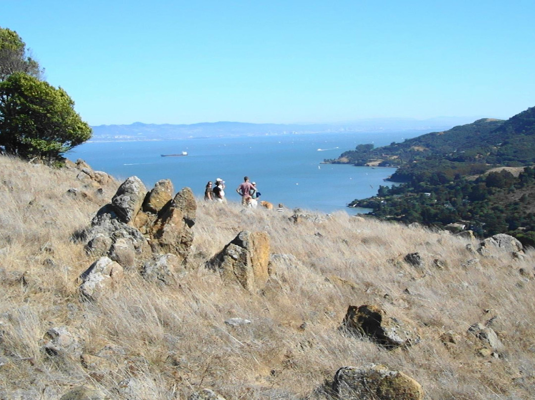 Ring Mountain Open Space Preserve景点图片