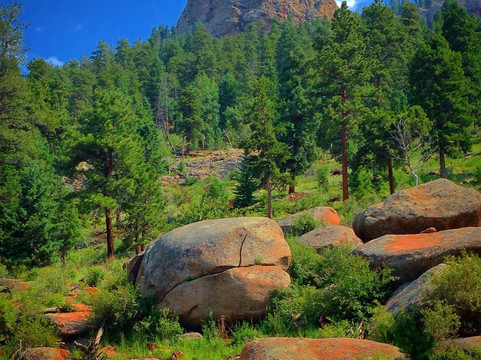 Pine旅游攻略图片