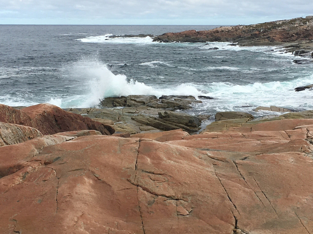 Joe Batt's Point Trail景点图片