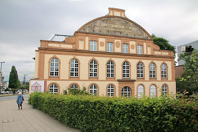 Naturkundemuseum im Ottoneum景点图片