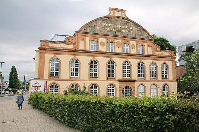 Naturkundemuseum im Ottoneum-卡塞尔行政区必去景点