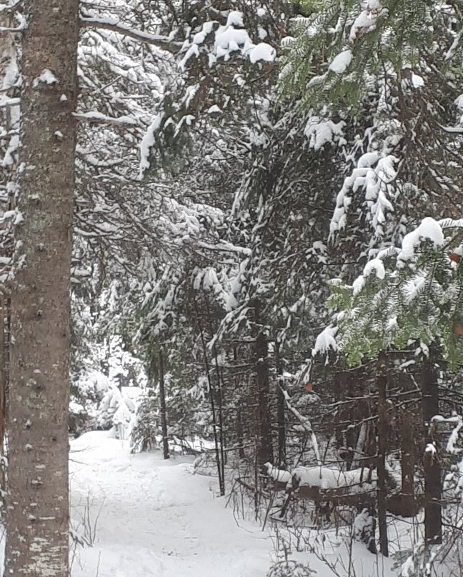 Whiteshell Provincial Park-Whiteshell Provincial Park必去景点