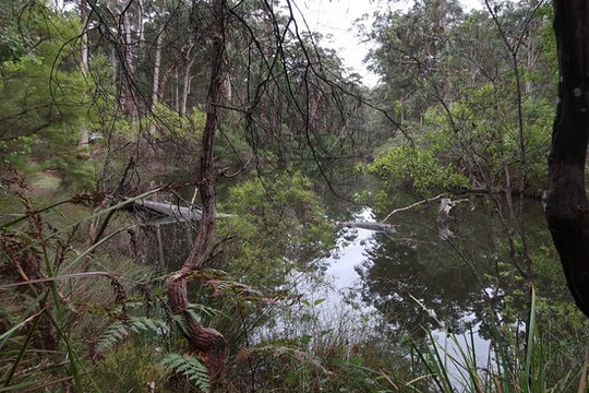 Glenoran Pool-Manjimup必去景点