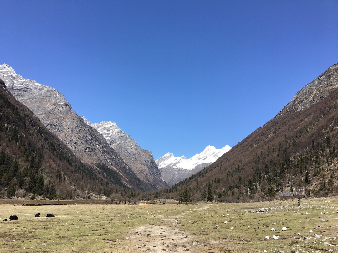 长坪沟景点图片