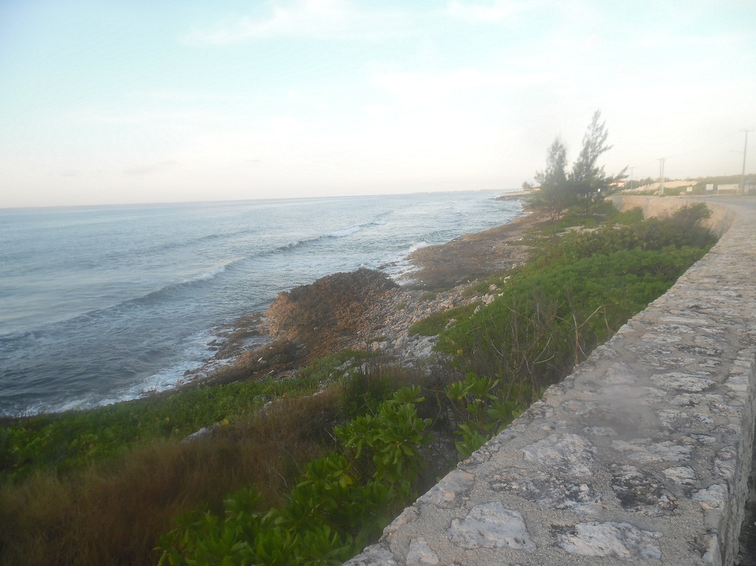 Lovers Wall-East End必去景点