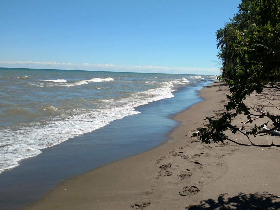 利明顿旅游攻略图片