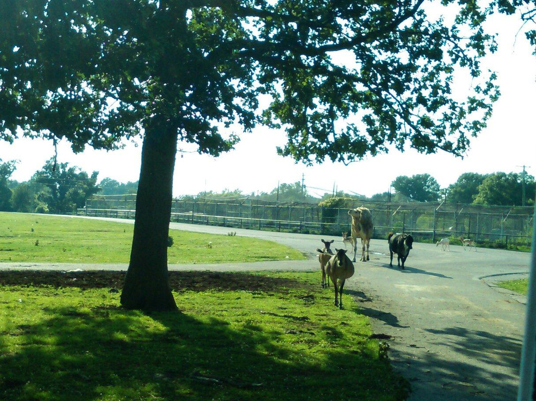 Strafford旅游攻略图片