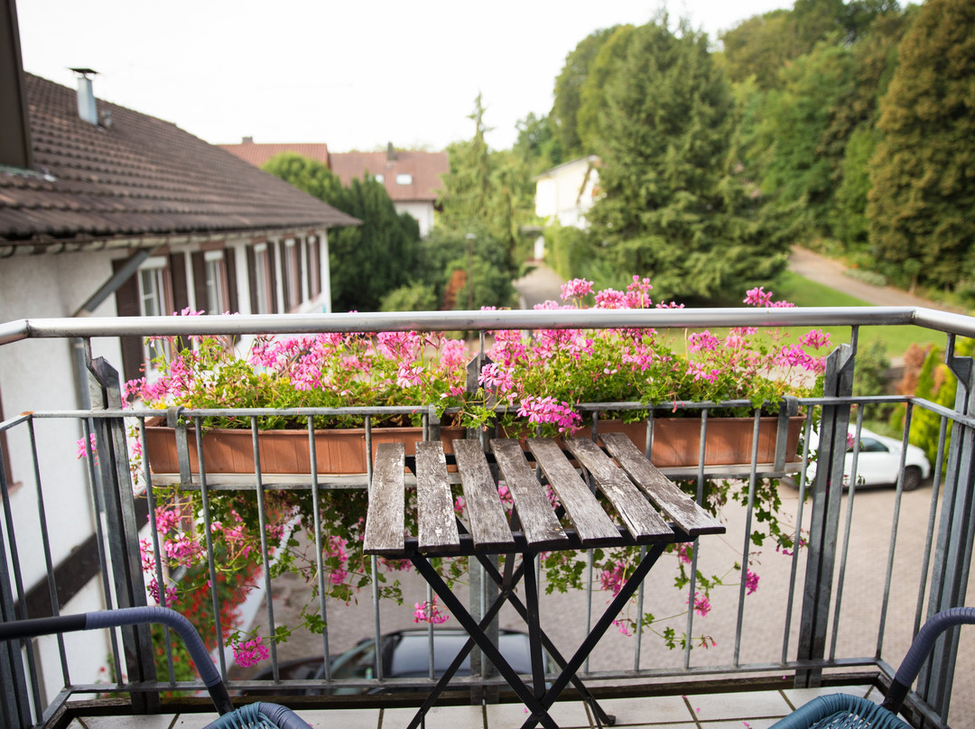 Landgasthof Loewen主图