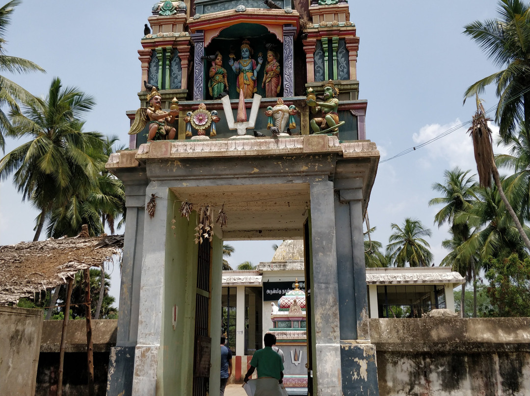 Sri Nanmadhia Perumal Temple景点图片