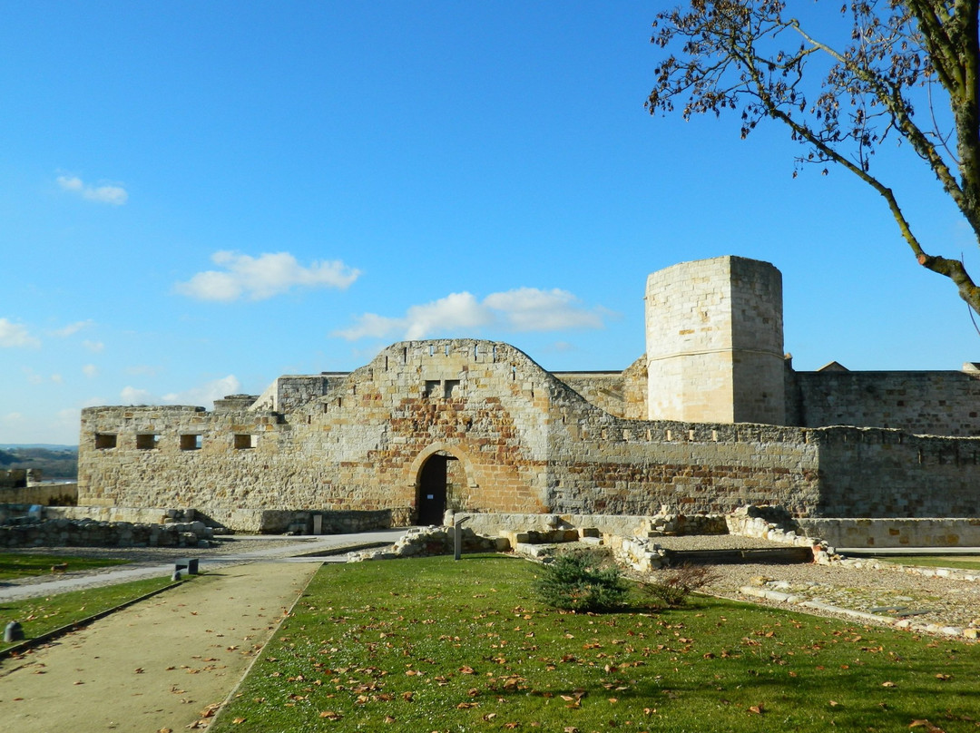 Castillo de Zamora景点图片