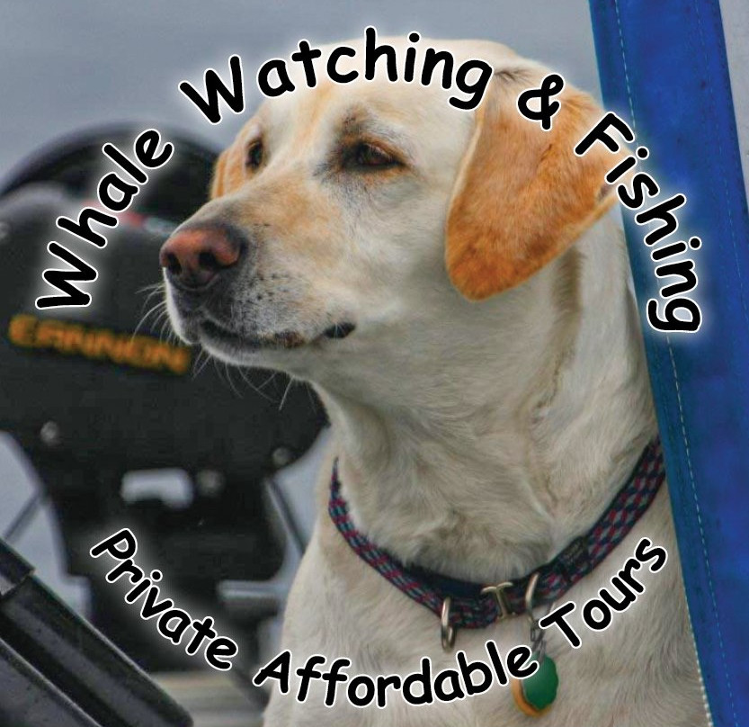 Rum Runner Charters-朱诺必去景点